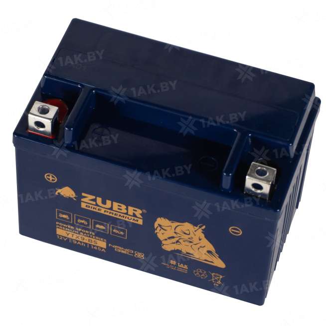 Аккумулятор для мотоцикла ZUBR (9 Ah) 145 A, 12 V Прямая, L+ YTX9-BS YTX9-BS (ZubrPrem) 3