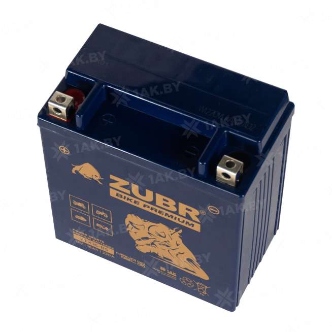 Аккумулятор для мотоцикла ZUBR (16 Ah) 220 A, 12 V Прямая, L+ YTX16-BS YTX16-BS (ZubrPrem) 3