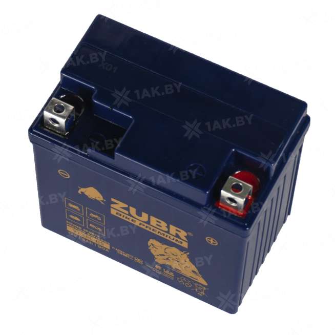 Аккумулятор для мотоцикла ZUBR (5 Ah) 90 A, 12 V Обратная, R+ YTX5L-BS YTX5L-BS (ZubrPrem) 3