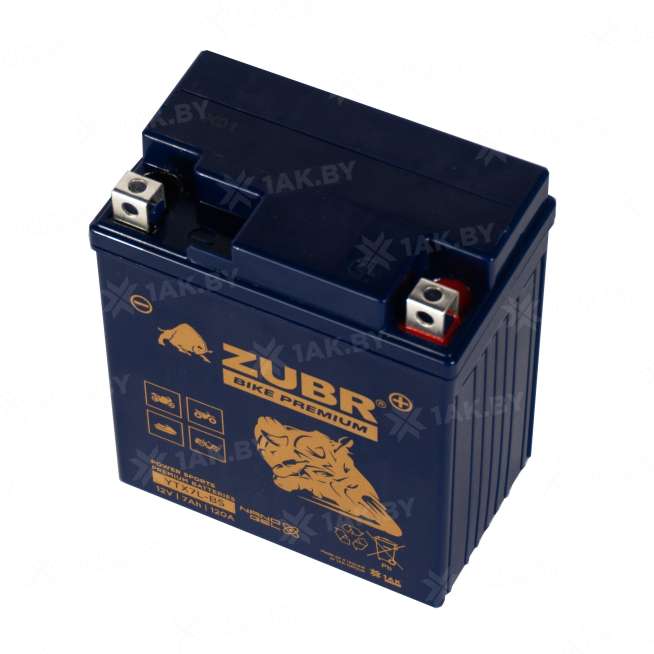 Аккумулятор для мотоцикла ZUBR (7 Ah) 120 A, 12 V Обратная, R+ YTX7L-BS YTX7L-BS (ZubrPrem) 3