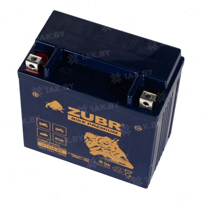 Аккумулятор для мотоцикла ZUBR (14 Ah) 205 A, 12 V Прямая, L+ YTX14-BS YTX14-BS (ZubrPrem) 3