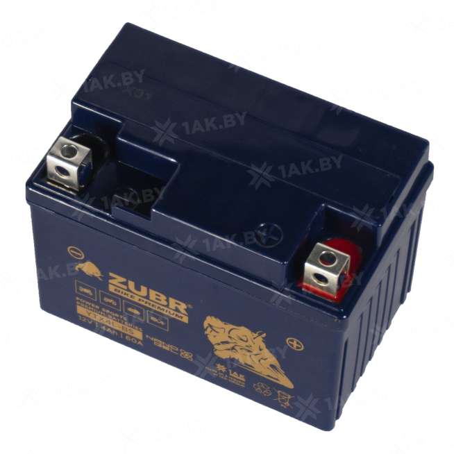 Аккумулятор для мотоцикла ZUBR (4 Ah) 60 A, 12 V Обратная, R+ YTX4L-BS YTX4L-BS (ZubrPrem) 3