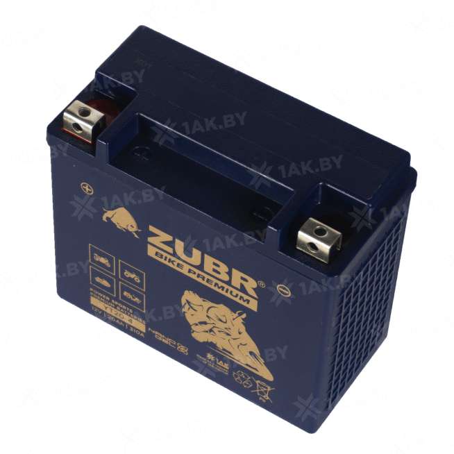 Аккумулятор для мотоцикла ZUBR (20 Ah) 310 A, 12 V Прямая, L+ YT20-4 YT20-4 (ZubrPrem) 3