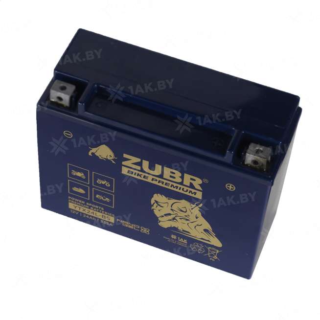 Аккумулятор для мотоцикла ZUBR (24 Ah) 335 Ah, 12 V Обратная, R+ YTX24L-BS YTX24L-BS (ZubrPrem) 3