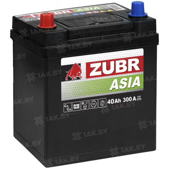 Аккумулятор ZUBR Premium Asia (40 Ah) 300 A, 12 V Прямая, L+ B19 ZU401JP 0