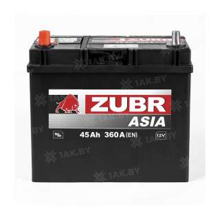 Аккумулятор ZUBR (45 Ah) 360 A, 12 V Прямая, L+ B24 1014236