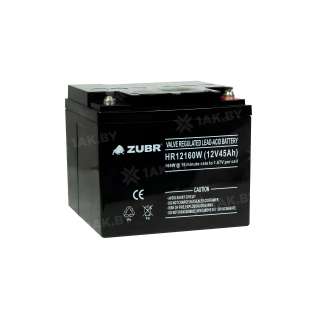 Аккумулятор ZUBR для ИБП, детского электромобиля, эхолота (45 Ah,12 V) AGM 197x165x172 15 кг