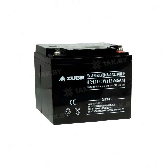 Аккумулятор ZUBR для ИБП, детского электромобиля, эхолота (45 Ah,12 V) AGM 197x165x172 15 кг 4