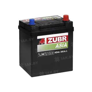 Аккумулятор ZUBR (40 Ah) 300 A, 12 V Обратная, R+ B19 1014231
