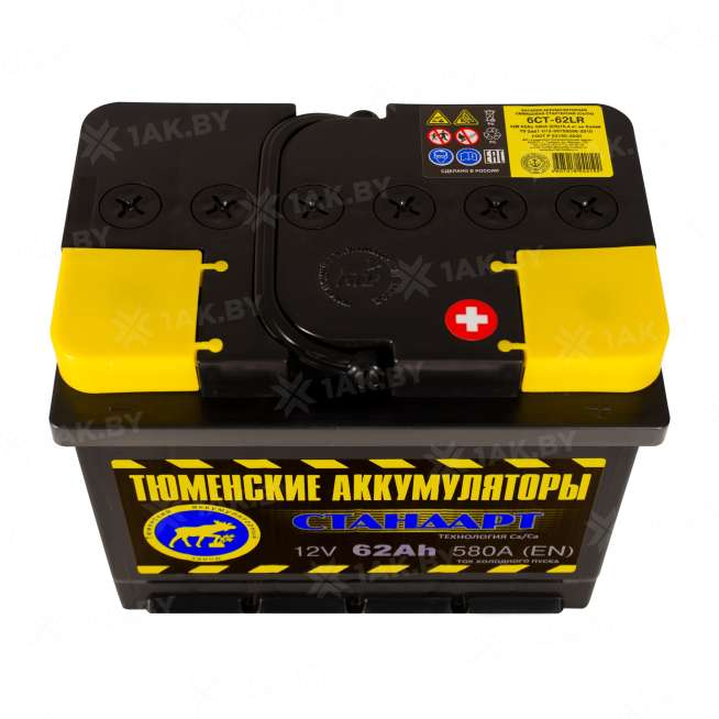 Аккумулятор ТЮМЕНЬ (62 Ah) 580 А, 12 V Обратная, R+ L2 TNS62.0 0