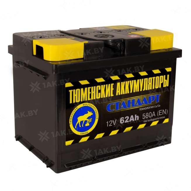 Аккумулятор ТЮМЕНЬ (62 Ah) 580 А, 12 V Обратная, R+ L2 TNS62.0 2