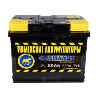 Аккумулятор ТЮМЕНЬ (60 Ah) 550 A, 12 V Обратная, R+ L2 TNS60.0R