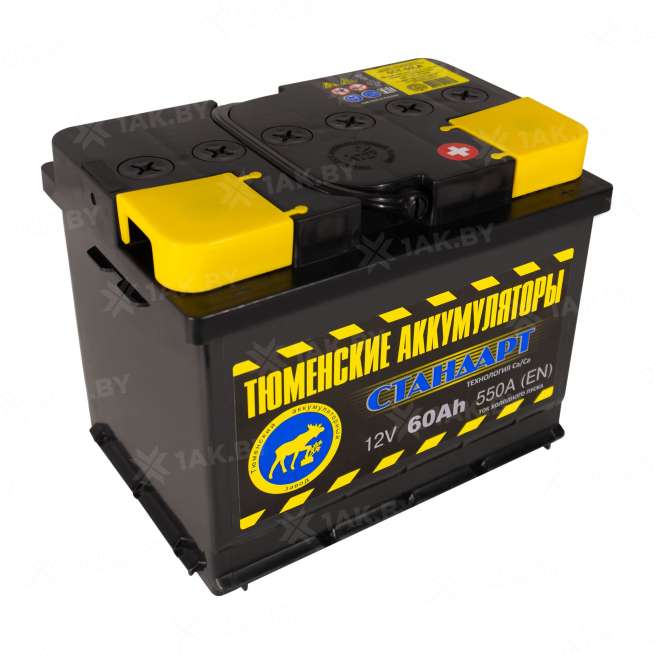 Аккумулятор ТЮМЕНЬ (60 Ah) 550 A, 12 V Обратная, R+ L2 TNS60.0R 2