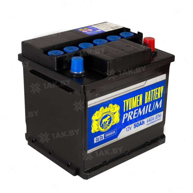 Аккумулятор ТЮМЕНЬ (50 Ah) 440 A, 12 V Обратная, R+ L1 TNP50.0 0