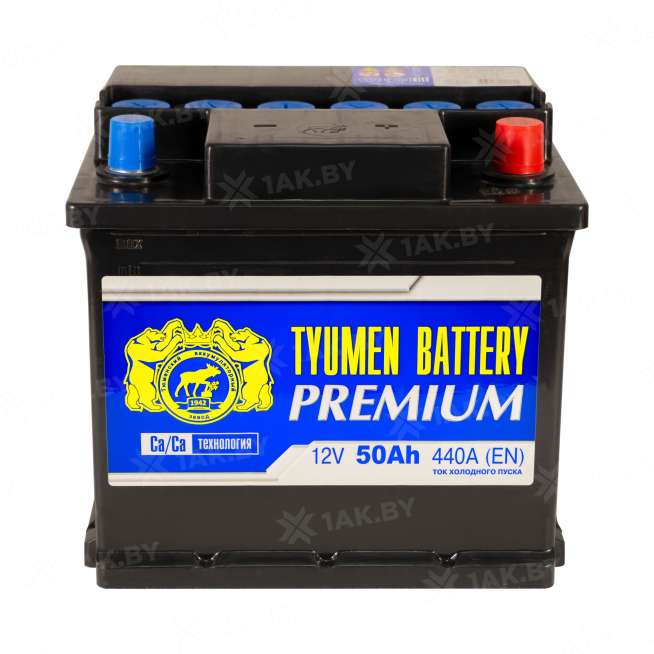 Аккумулятор ТЮМЕНЬ (50 Ah) 440 A, 12 V Обратная, R+ L1 TNP50.0 1