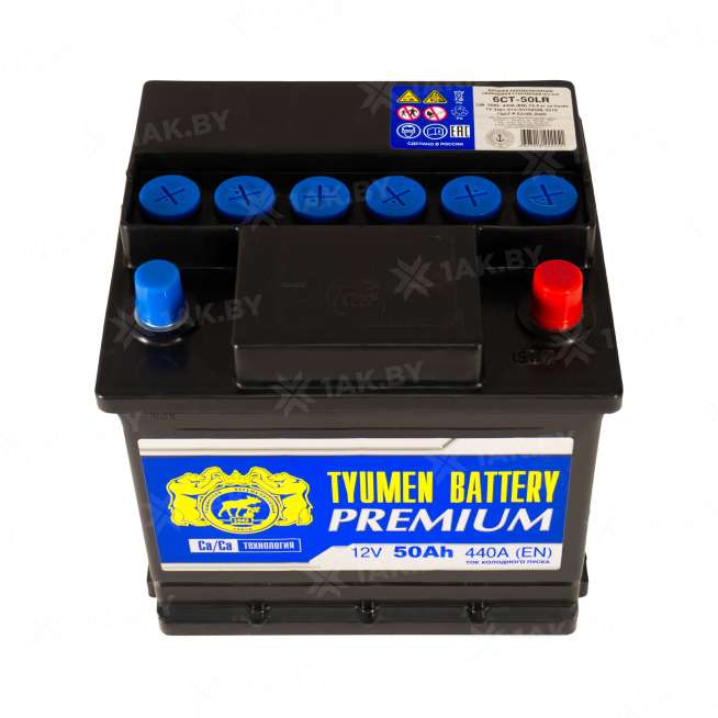 Аккумулятор ТЮМЕНЬ (50 Ah) 440 A, 12 V Обратная, R+ L1 TNP50.0 2