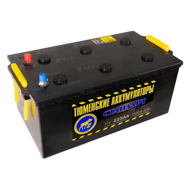 Аккумулятор Тюмень Стандарт (225 Ah) 1450 A, 12 V Обратная, R+ D6 1