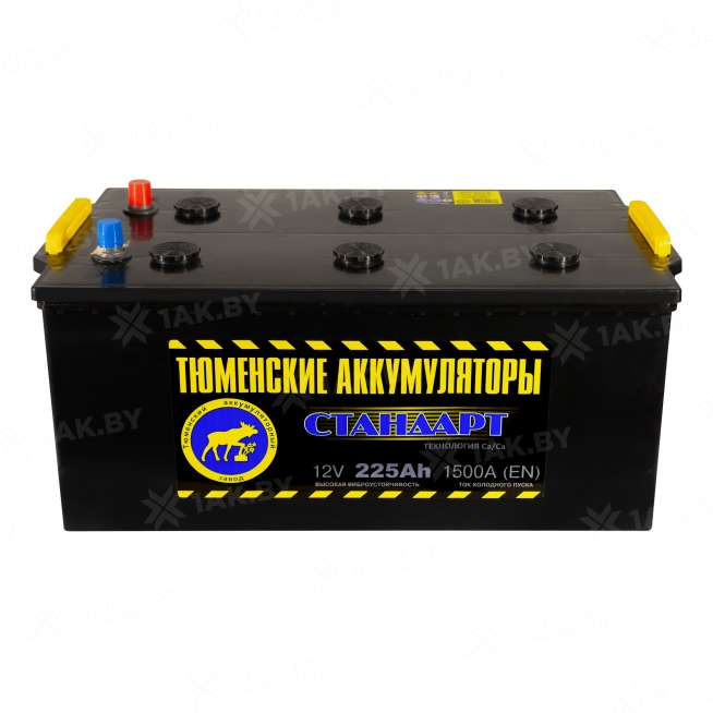 Аккумулятор Тюмень Стандарт (225 Ah) 1450 A, 12 V Обратная, R+ D6 2