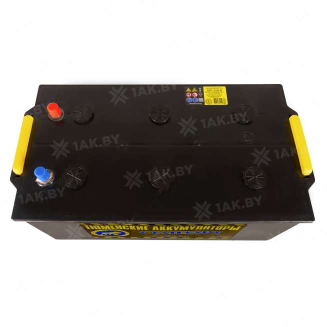 Аккумулятор Тюмень Стандарт (225 Ah) 1450 A, 12 V Обратная, R+ D6 3