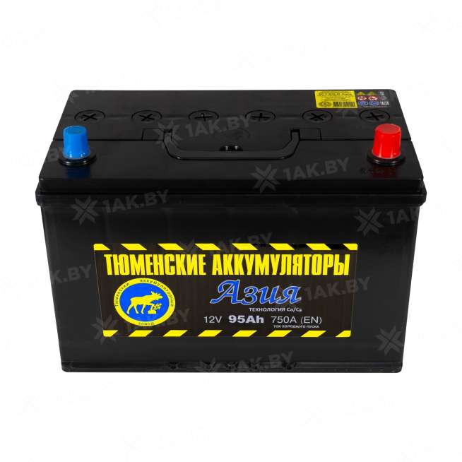 Аккумулятор Тюмень Азия (95 Ah) 750 A, 12 V Обратная, R+ D31 TNS95.0 1