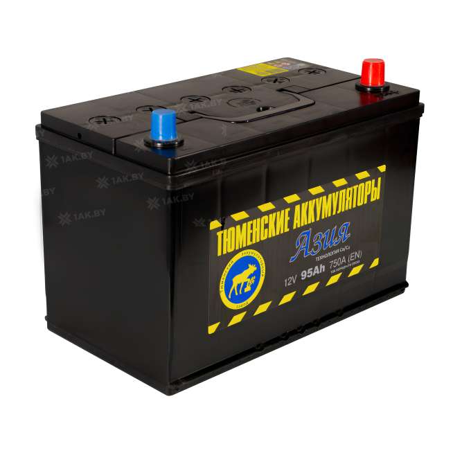 Аккумулятор Тюмень Азия (95 Ah) 750 A, 12 V Обратная, R+ D31 TNS95.0 3