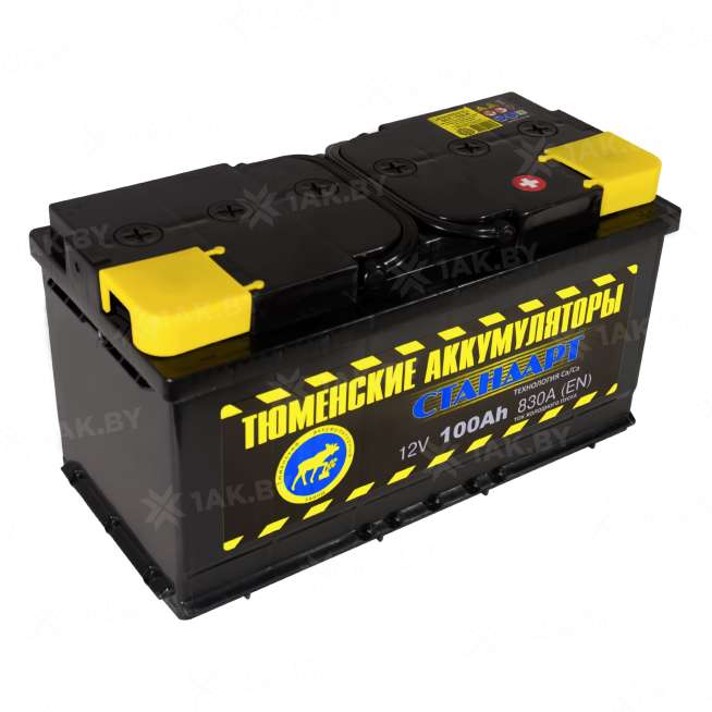 Аккумулятор ТЮМЕНЬ (100 Ah) 830 A, 12 V Обратная, R+ L5 TNS100.0 0