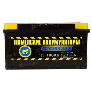 Аккумулятор ТЮМЕНЬ (100 Ah) 830 A, 12 V Обратная, R+ L5 TNS100.0