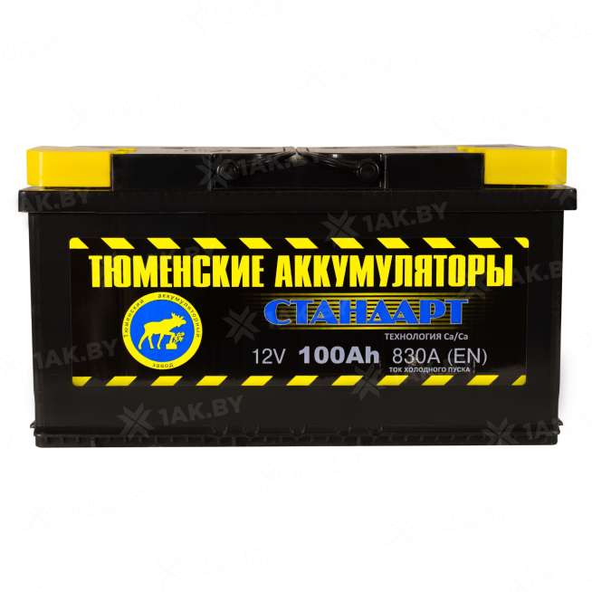 Аккумулятор ТЮМЕНЬ (100 Ah) 830 A, 12 V Обратная, R+ L5 TNS100.0 1