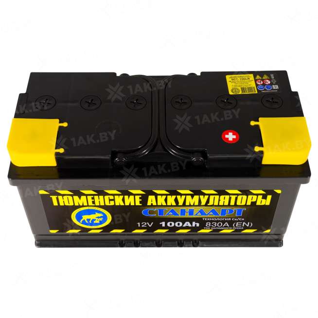 Аккумулятор ТЮМЕНЬ (100 Ah) 830 A, 12 V Обратная, R+ L5 TNS100.0 2