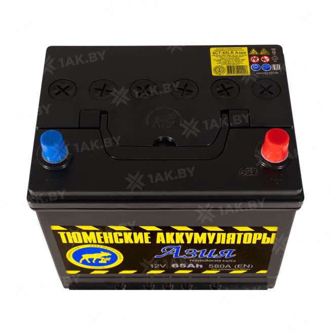 Аккумулятор ТЮМЕНЬ (65 Ah) 580 А, 12 V Обратная, R+ D23 TNS65.0 0