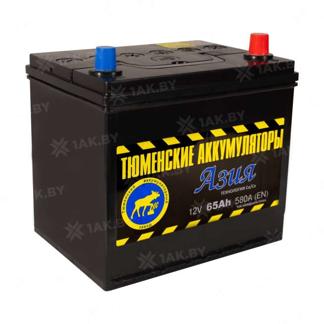Аккумулятор ТЮМЕНЬ (65 Ah) 580 А, 12 V Обратная, R+ D23 TNS65.0 1