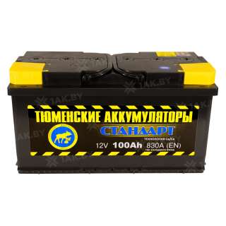 Аккумулятор Тюмень Стандарт (100 Ah) 830 A, 12 V Прямая, L+ L5 TNS100.1