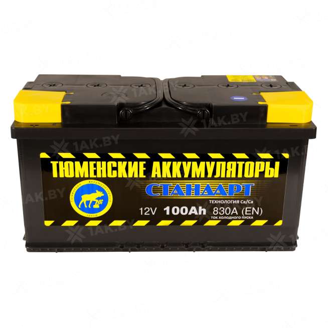 Аккумулятор Тюмень Стандарт (100 Ah) 830 A, 12 V Прямая, L+ L5 TNS100.1 1