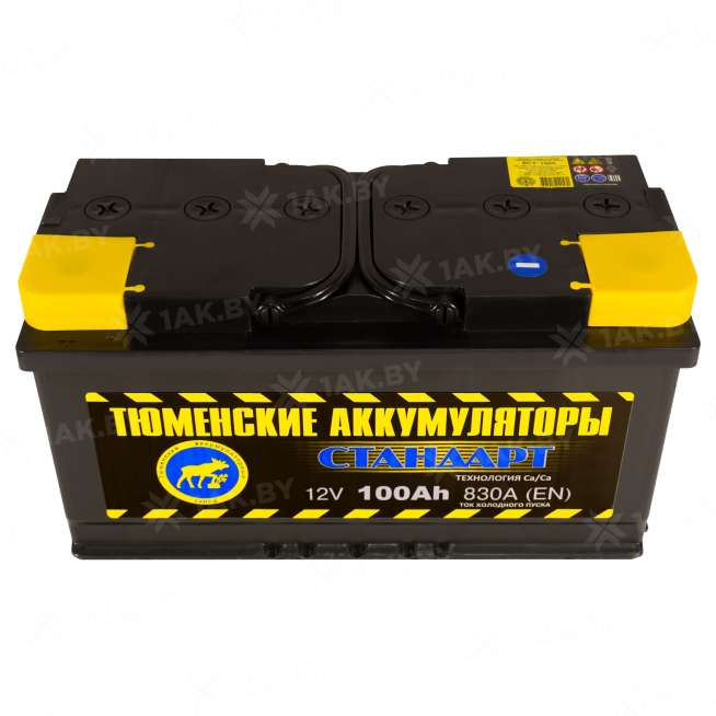 Аккумулятор Тюмень Стандарт (100 Ah) 830 A, 12 V Прямая, L+ L5 TNS100.1 2