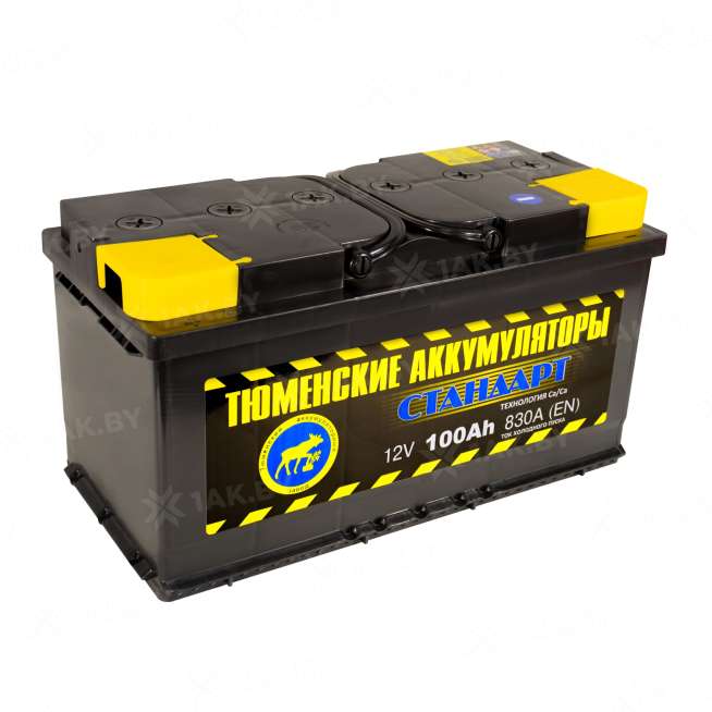 Аккумулятор Тюмень Стандарт (100 Ah) 830 A, 12 V Прямая, L+ L5 TNS100.1 3
