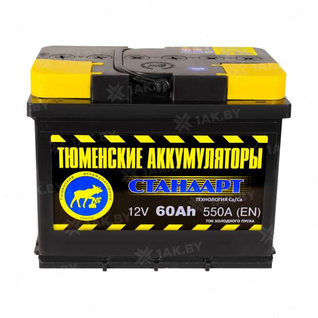 Аккумулятор Тюмень Стандарт (60 Ah) 550 A, 12 V Прямая, L+ L2 TNS60.1 1