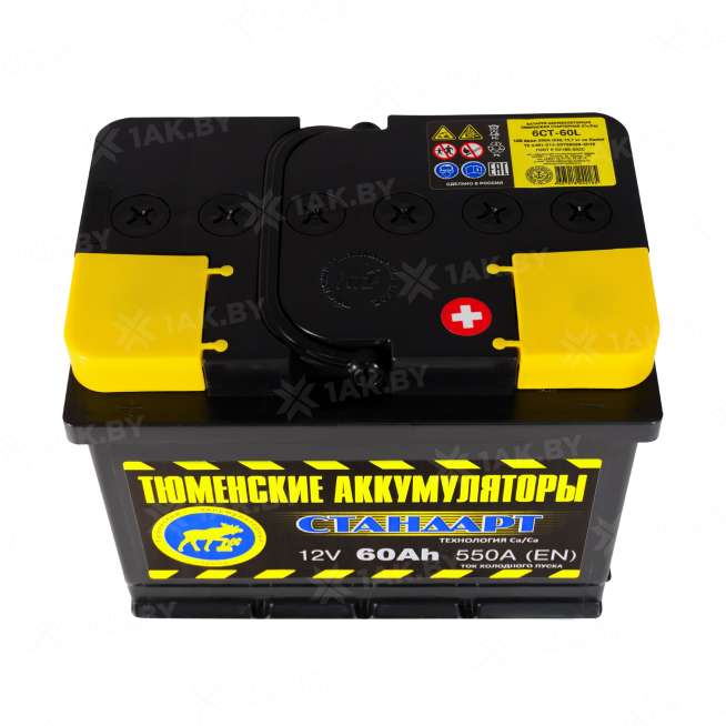 Аккумулятор Тюмень Стандарт (60 Ah) 550 A, 12 V Прямая, L+ L2 TNS60.1 2