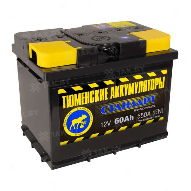 Аккумулятор Тюмень Стандарт (60 Ah) 550 A, 12 V Прямая, L+ L2 TNS60.1 3