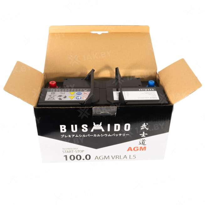 Аккумулятор BUSHIDO (100 Ah) 900 A, 12 V Обратная, R+ L5 0129300 1