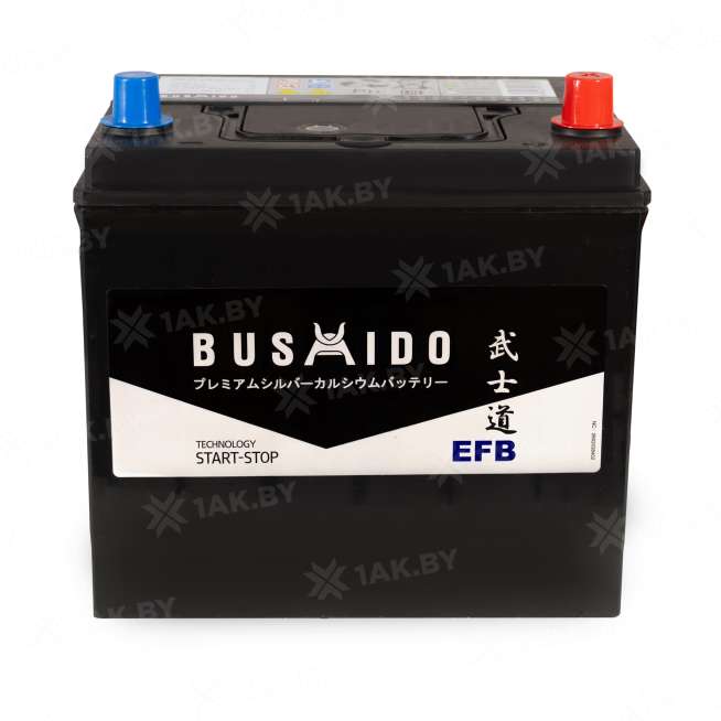 Аккумулятор BUSHIDO (70 Ah) 670 A, 12 V Обратная, R+ D23 0129313 2