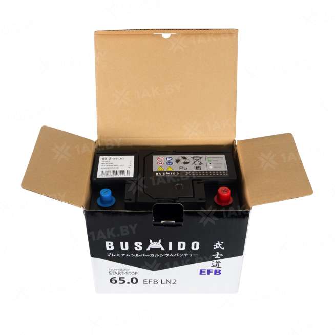 Аккумулятор BUSHIDO (65 Ah) 640 A, 12 V Обратная, R+ L2 0129304 0