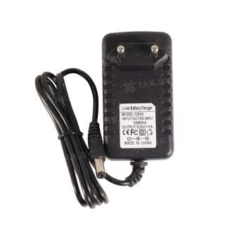 Зарядное устройство TS10.8В1A Tonsload для литий-ионных аккумуляторов (12.6В 1А)