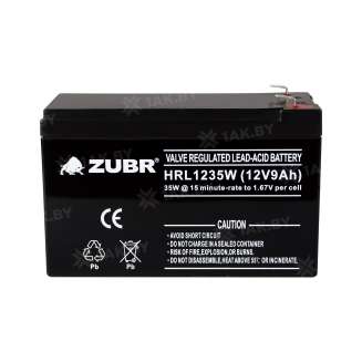 Аккумулятор ZUBR для ИБП, детского электромобиля, эхолота (9 Ah,12 V) AGM 151х65х94/100 2.73 кг 6