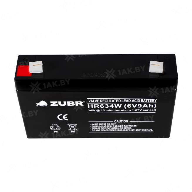Аккумулятор ZUBR для ИБП, детского электромобиля, эхолота (9 Ah,6 V) AGM 151x34x100 1.35 кг 5