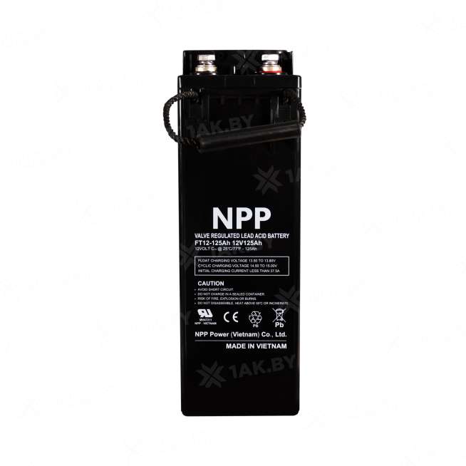 Аккумулятор для ИБП NPP (125 Ah) , 12 V  FT12-125(NPP) 2