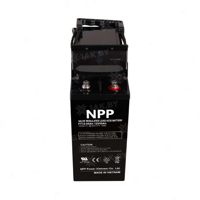 Аккумулятор NPP для ИБП, детского электромобиля, эхолота FT (55 Ah,12 V) AGM 277x106x221 17.3 кг, Китай 5