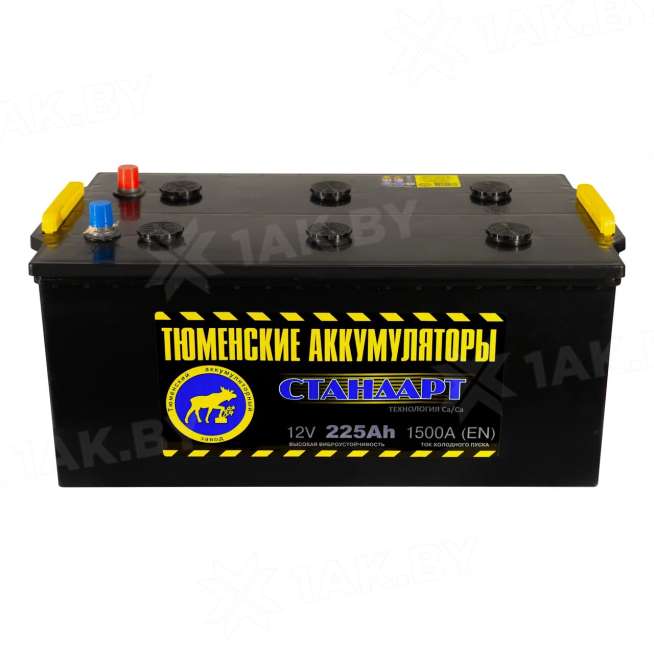 Аккумулятор ТЮМЕНЬ (225 Ah) 1500 A, 12 V Прямая, L+ D6 TNS225.3 0