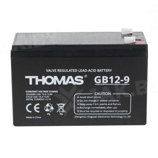 Аккумулятор THOMAS для ИБП, детского электромобиля, эхолота (9 Ah,12 V) AGM 151х65х94/100 2.2 кг 0
