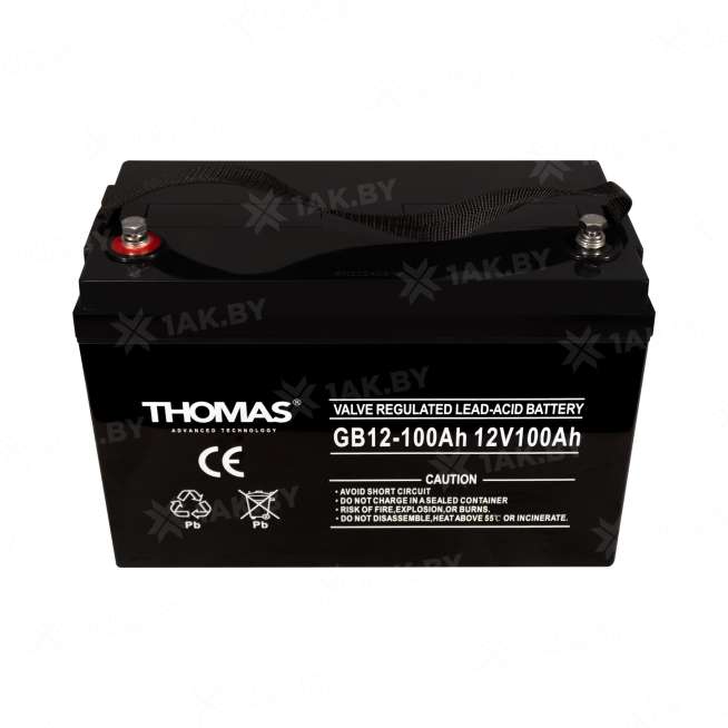 Аккумулятор THOMAS для ИБП, детского электромобиля, эхолота (100 Ah,12 V) AGM 330x171x220 25.3 кг 1