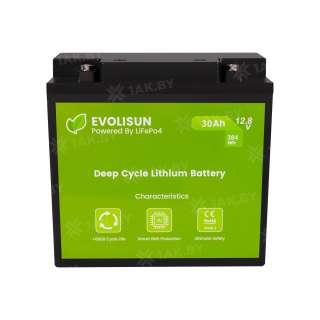 Аккумулятор EVOLISUN (30 Ah) , 12.8 V  EVOLISUN30Q10-LFP